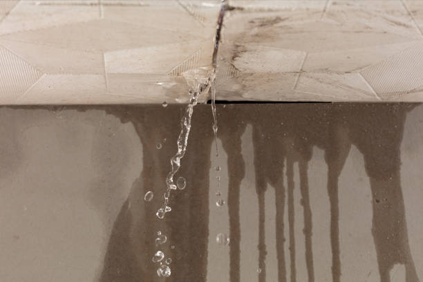 Professional Water Damage Repair technician working in Martindale, TX
